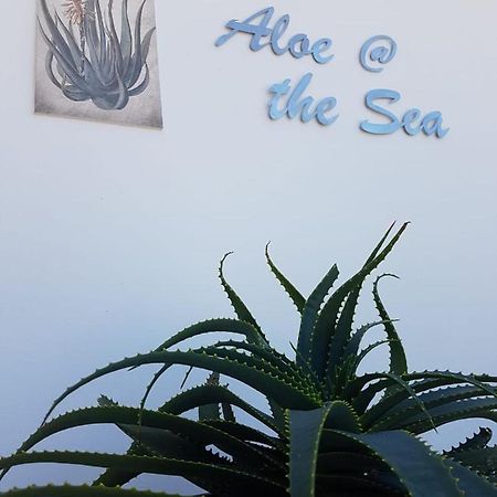 モーセル・ベイAloe @ The Seaアパートメント エクステリア 写真