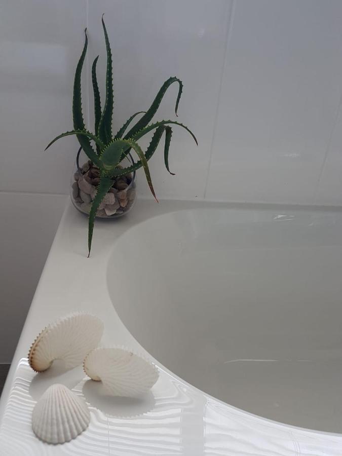 モーセル・ベイAloe @ The Seaアパートメント エクステリア 写真